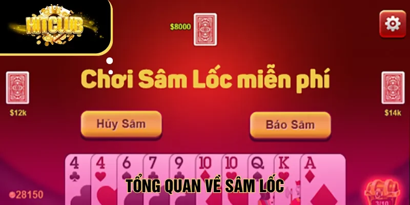Tổng quan về sâm lốc