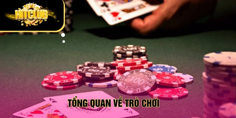 Tổng quan về trò chơi